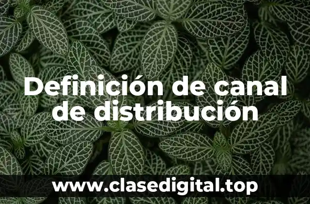 Ejemplos de canal de distribución