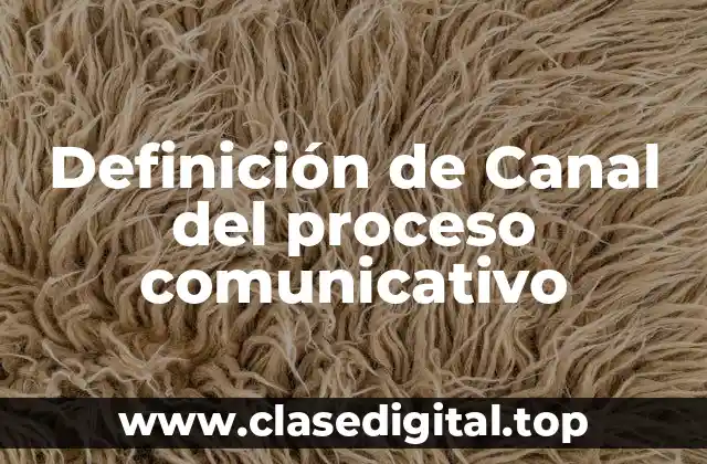 Definición de Canal del proceso comunicativo