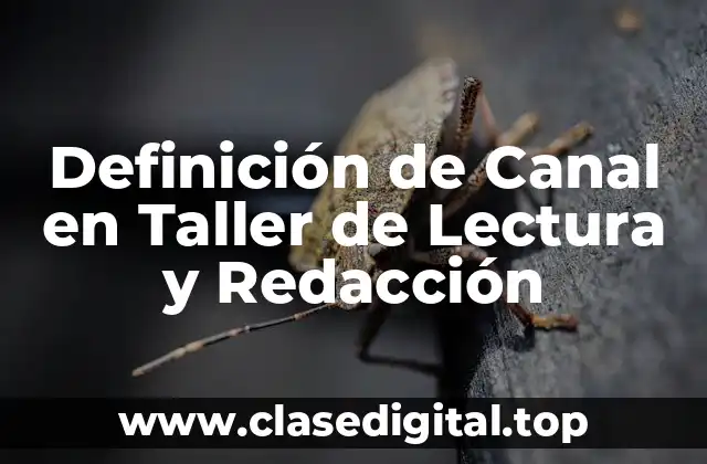 Definición de Canal en Taller de Lectura y Redacción