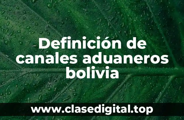 Definición de canales aduaneros bolivia