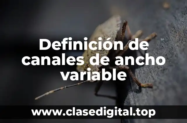 Definición de canales de ancho variable