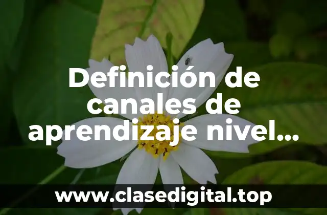 Definición de canales de aprendizaje nivel primaria