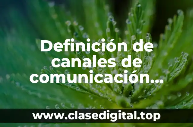 Definición de canales de comunicación corporativo