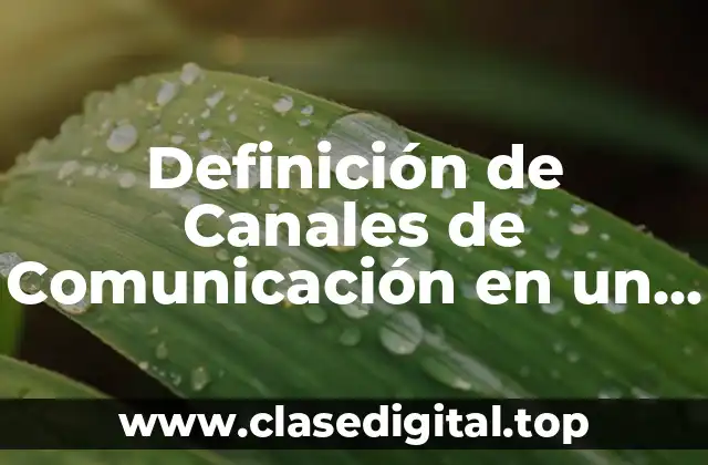 Definición de Canales de Comunicación en un Equipo de Trabajo