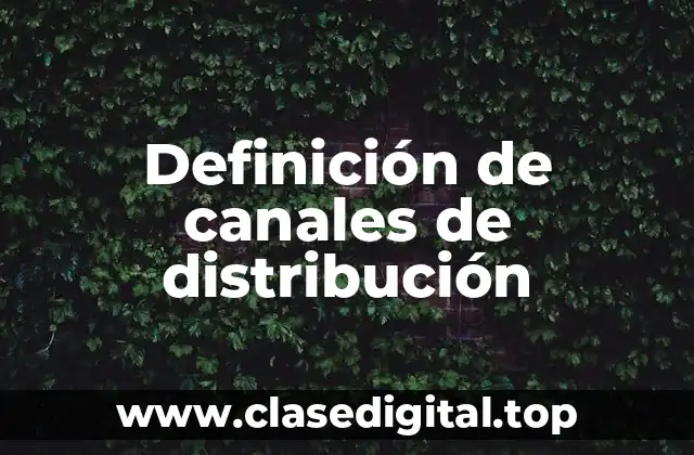 Definición de canales de distribución