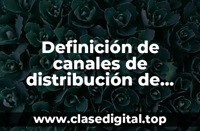 Ejemplos de canales de distribución de productos de belleza