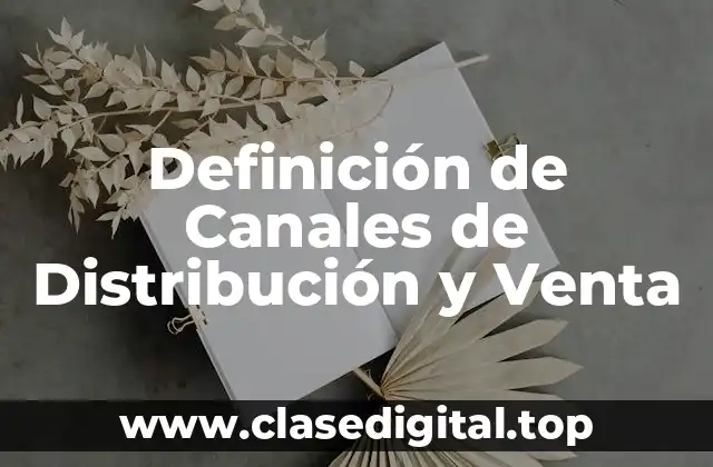 Definición de Canales de Distribución y Venta
