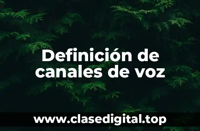 Definición de canales de voz