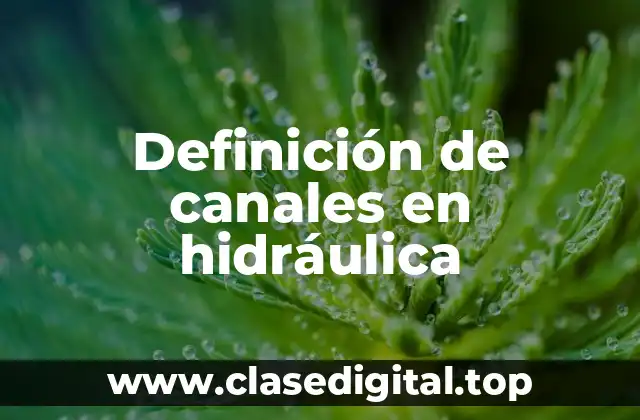 Definición de canales en hidráulica
