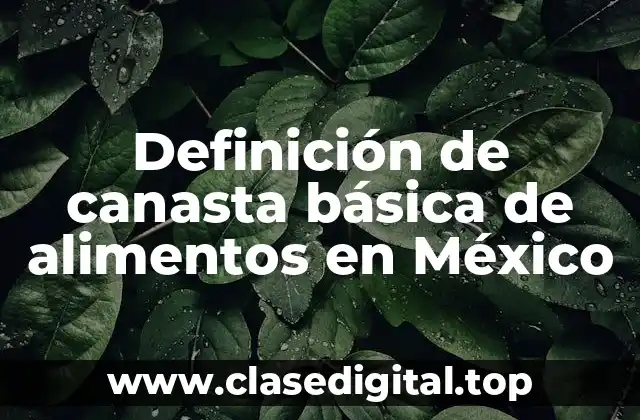 Definición de canasta básica de alimentos en México