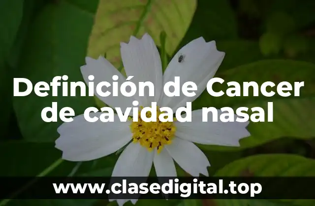 Definición técnica de cancer de cavidad nasal