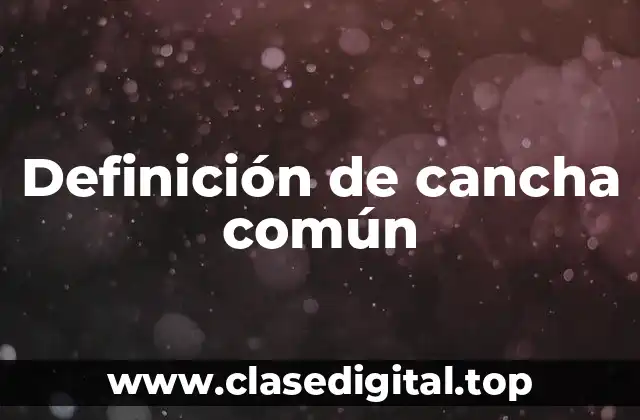 Definición de cancha común