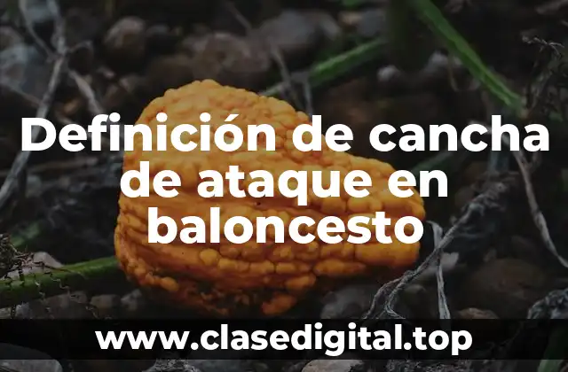 Definición técnica de cancha de ataque en baloncesto