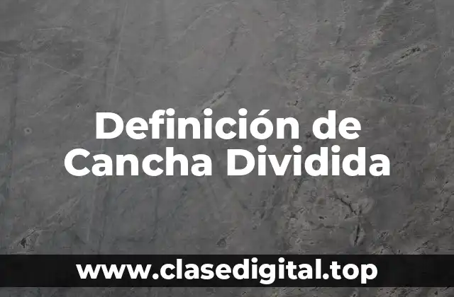 Definición de Cancha Dividida