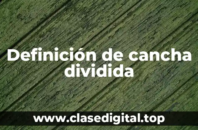 Ejemplos de cancha dividida