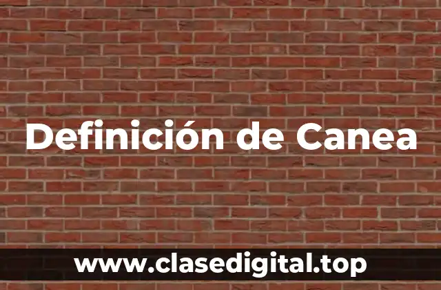 Definición de Canea