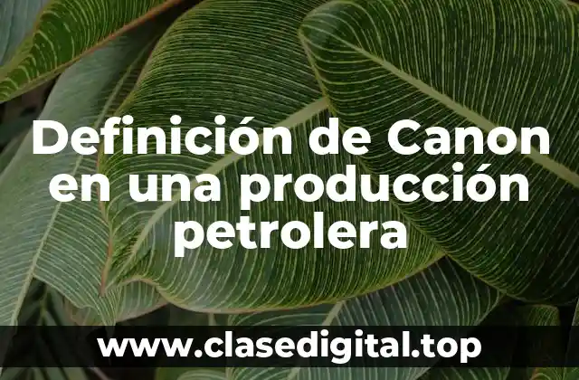 Definición de Canon en una producción petrolera