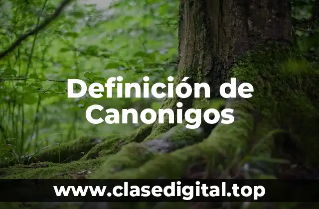 Definición de Canonigos