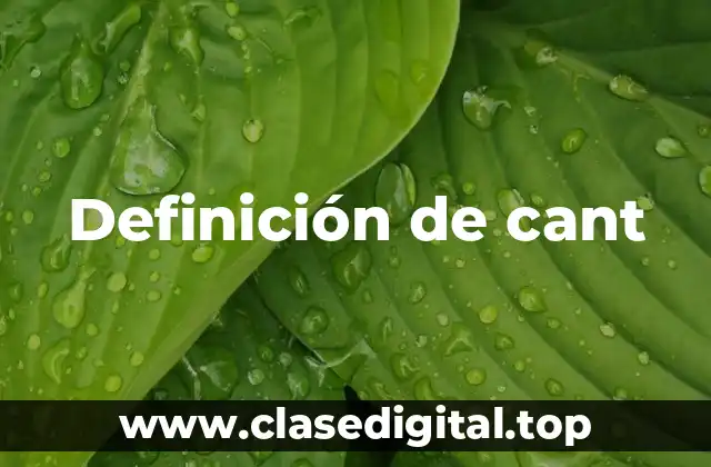 Definición técnica de cant