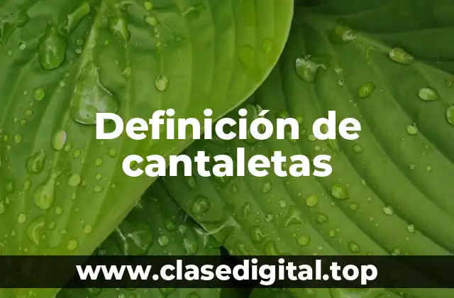 Definición de cantaletas