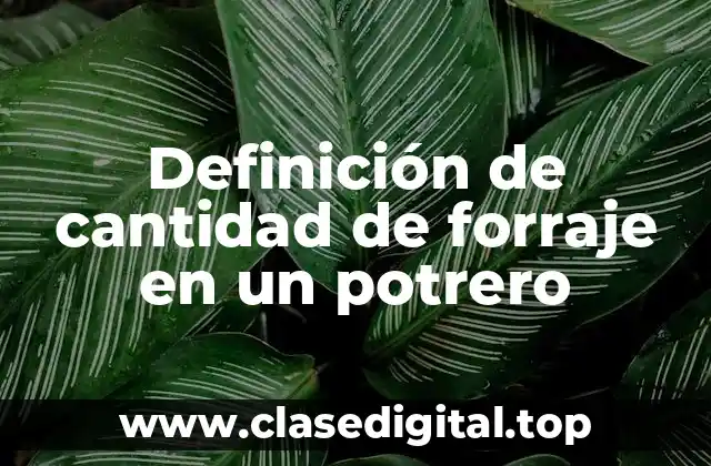 Definición de cantidad de forraje en un potrero