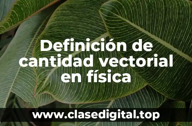 Definición técnica de cantidad vectorial en física