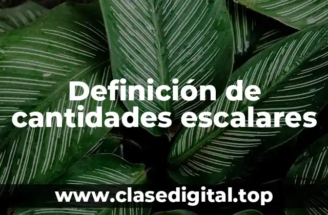 Definición técnica de cantidad escalar
