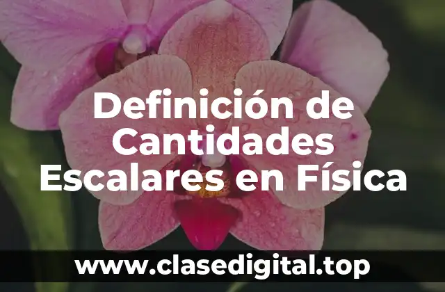 Definición de Cantidades Escalares en Física
