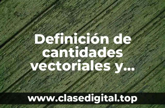Definición de cantidades vectoriales y escaleros