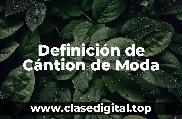 Definición técnica de Cántion de Moda