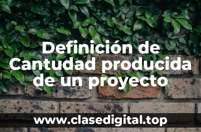 Definición de Cantudad producida de un proyecto