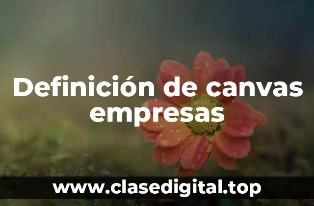 Definición de canvas empresas