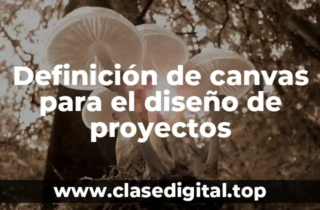 Definición de canvas para el diseño de proyectos