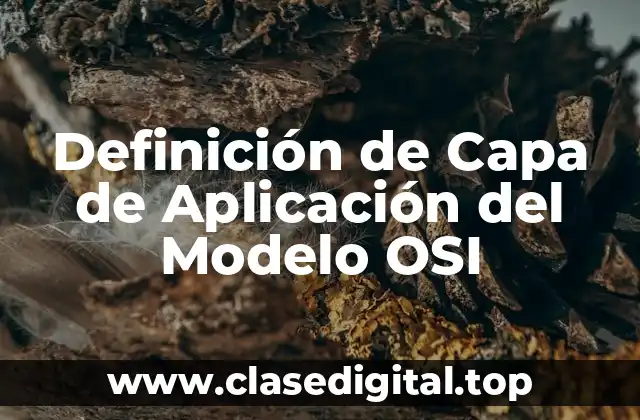 Definición de Capa de Aplicación del Modelo OSI