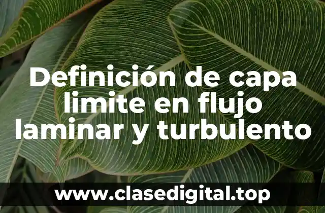Definición de capa limite en flujo laminar y turbulento