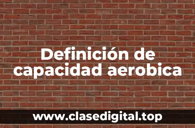 Definición técnica de capacidad aerobica