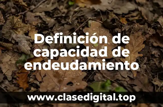 Definición técnica de capacidad de endeudamiento