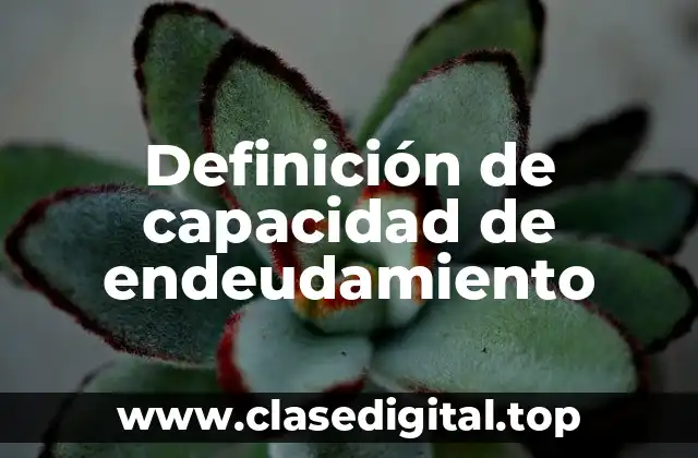 Definición de capacidad de endeudamiento