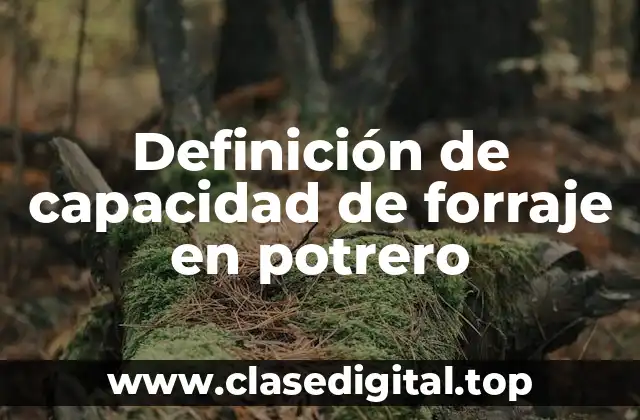 Definición de capacidad de forraje en potrero