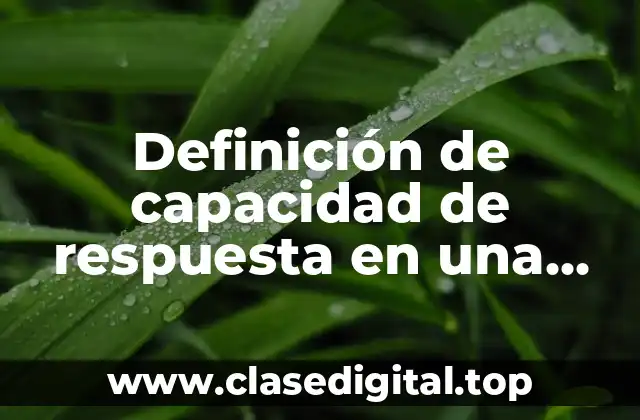 Definición técnica de capacidad de respuesta en una empresa