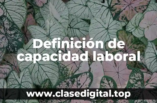 Definición de capacidad laboral
