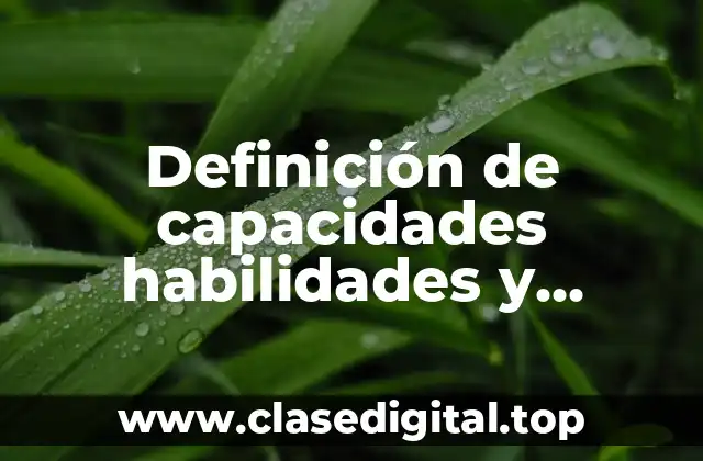 Ejemplos de capacidades, habilidades y actitudes