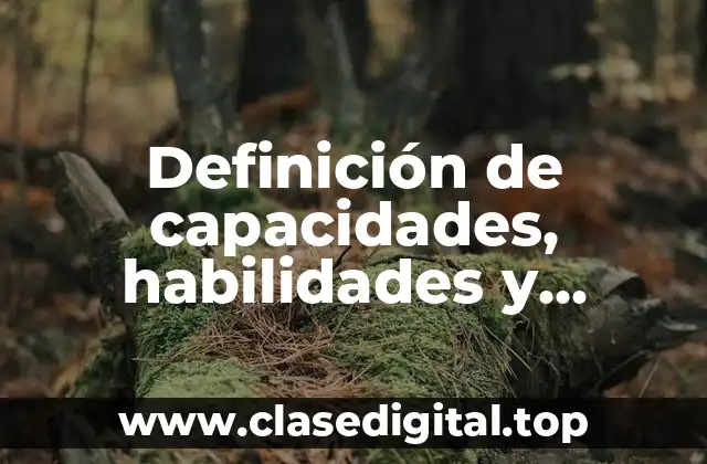 Definición de capacidades, habilidades y destrezas