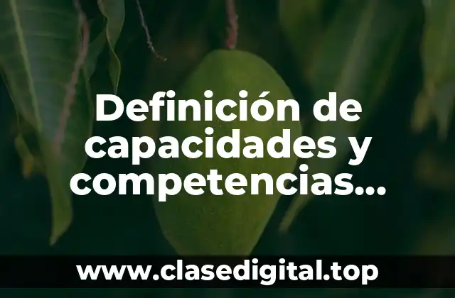 Ejemplos de capacidades y competencias organizativas