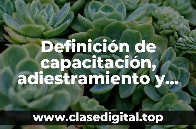 Definición de capacitación, adiestramiento y desarrollo