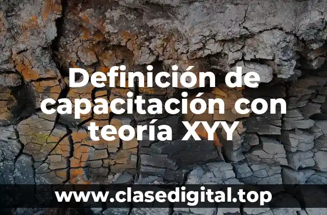 Definición de capacitación con teoría XYY