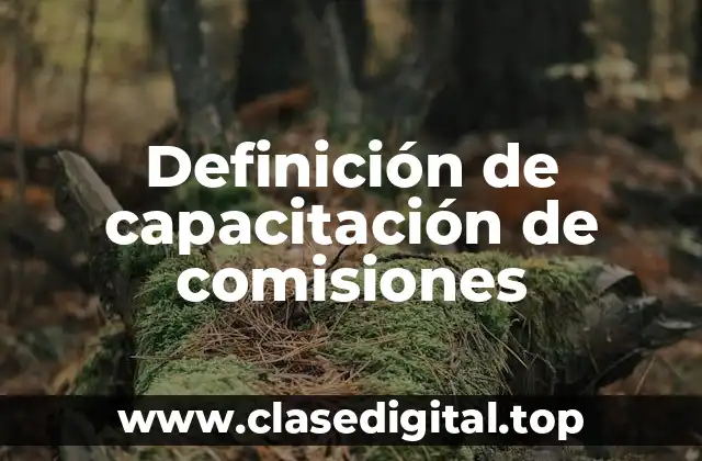 Definición de capacitación de comisiones