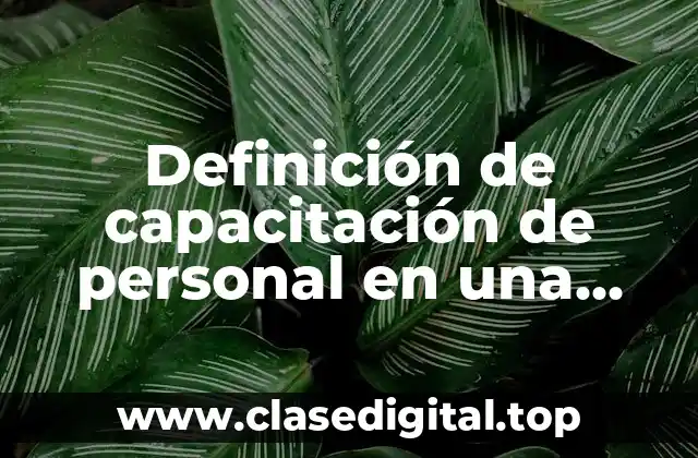 Definición técnica de capacitación de personal en una empresa