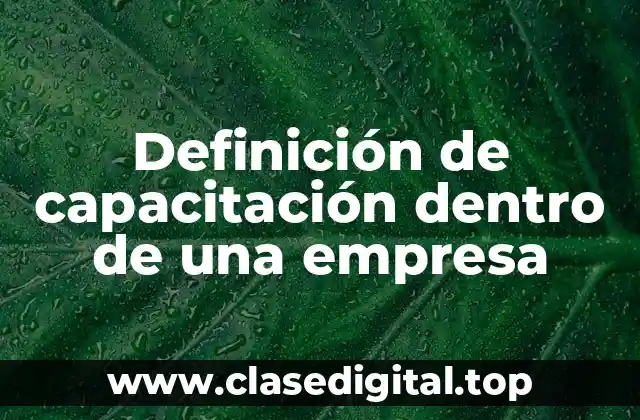 Definición de capacitación dentro de una empresa