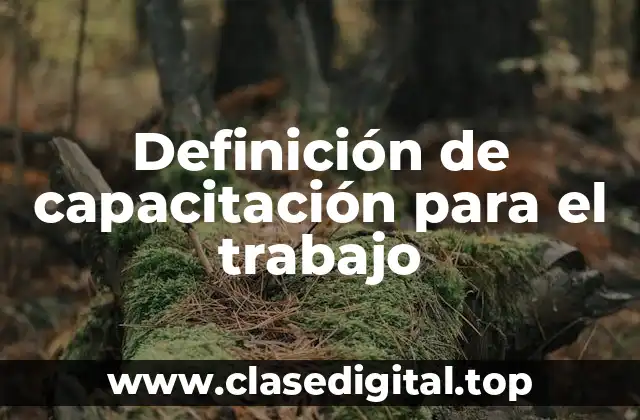 Definición de capacitación para el trabajo